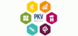 PKV Institut GmbH